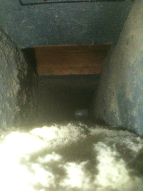 Is this what your homes air ducts look like inside???